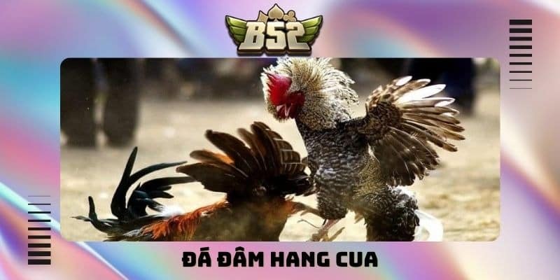 Đá đâm hang cua
